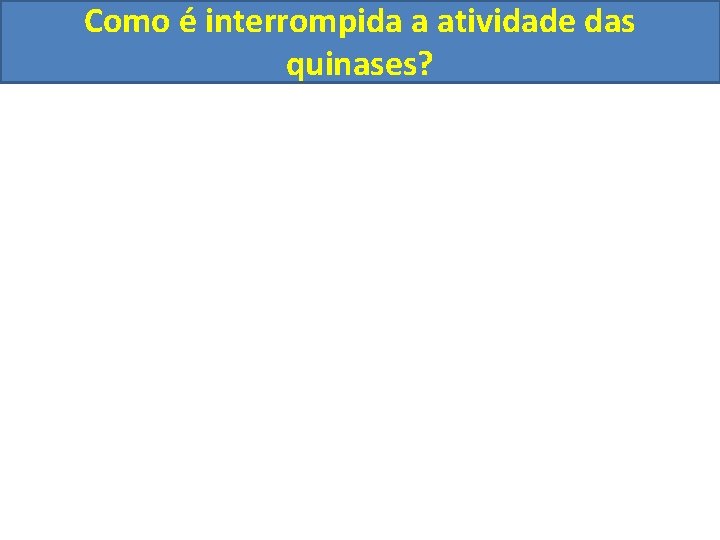 Como é interrompida a atividade das quinases? 