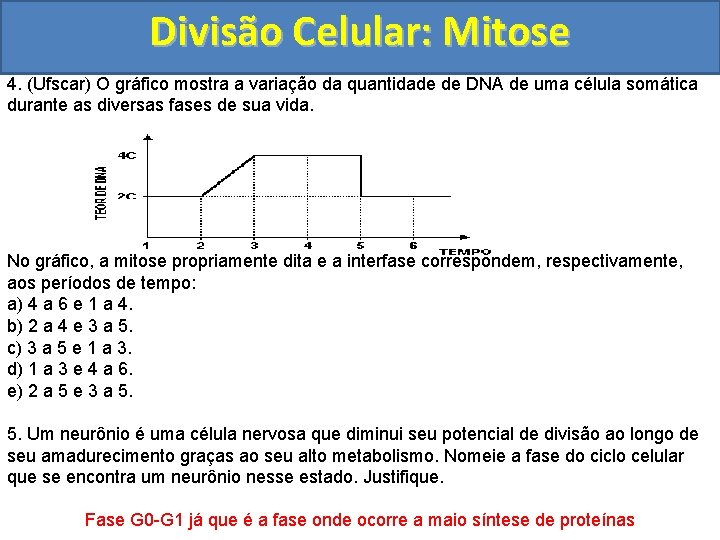 Divisão Celular: Mitose 4. (Ufscar) O gráfico mostra a variação da quantidade de DNA