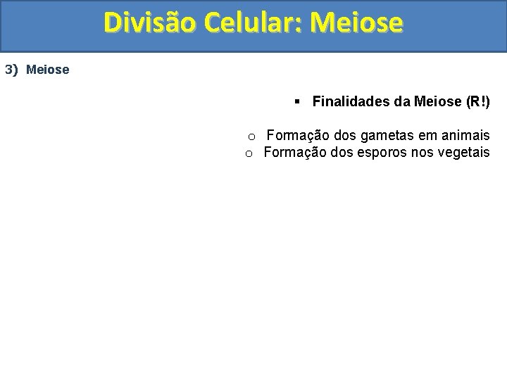 Divisão Celular: Meiose 3) Meiose § Finalidades da Meiose (R!) o Formação dos gametas