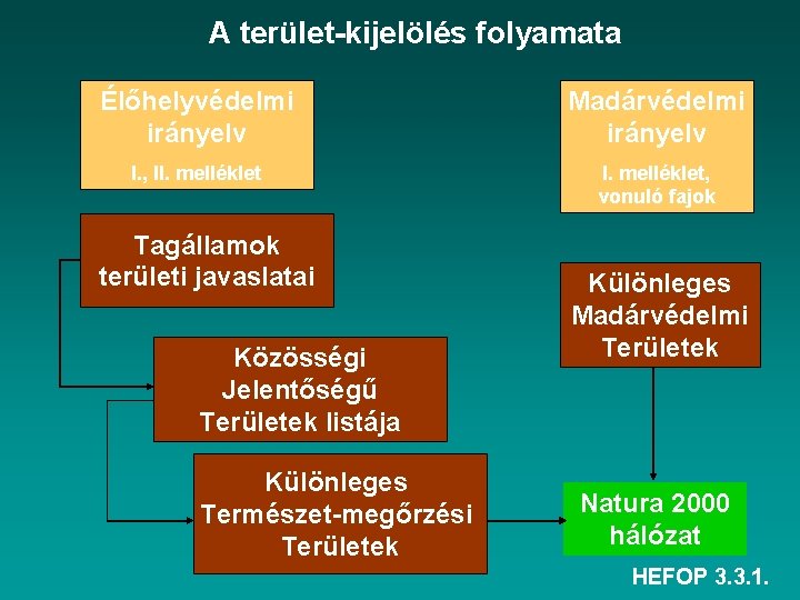 A terület-kijelölés folyamata Élőhelyvédelmi irányelv Madárvédelmi irányelv I. , II. melléklet, vonuló fajok Tagállamok