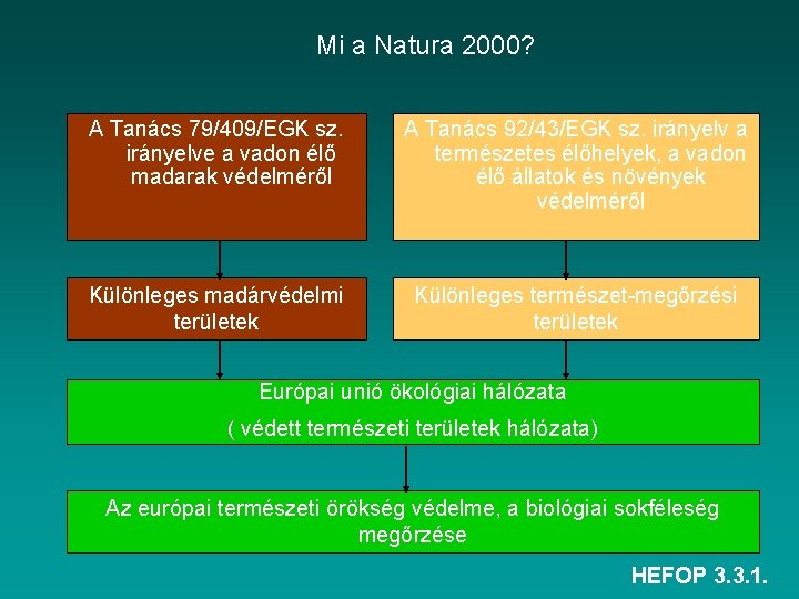 Mi a Natura 2000? A Tanács 79/409/EGK sz. irányelve a vadon élő madarak védelméről