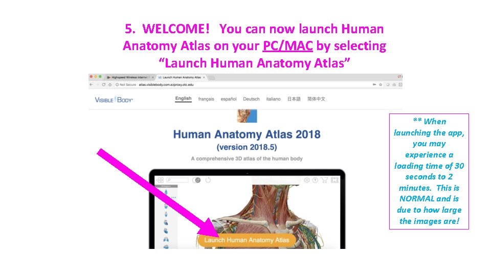 5. WELCOME! You can now launch Human Anatomy Atlas on your PC/MAC by selecting