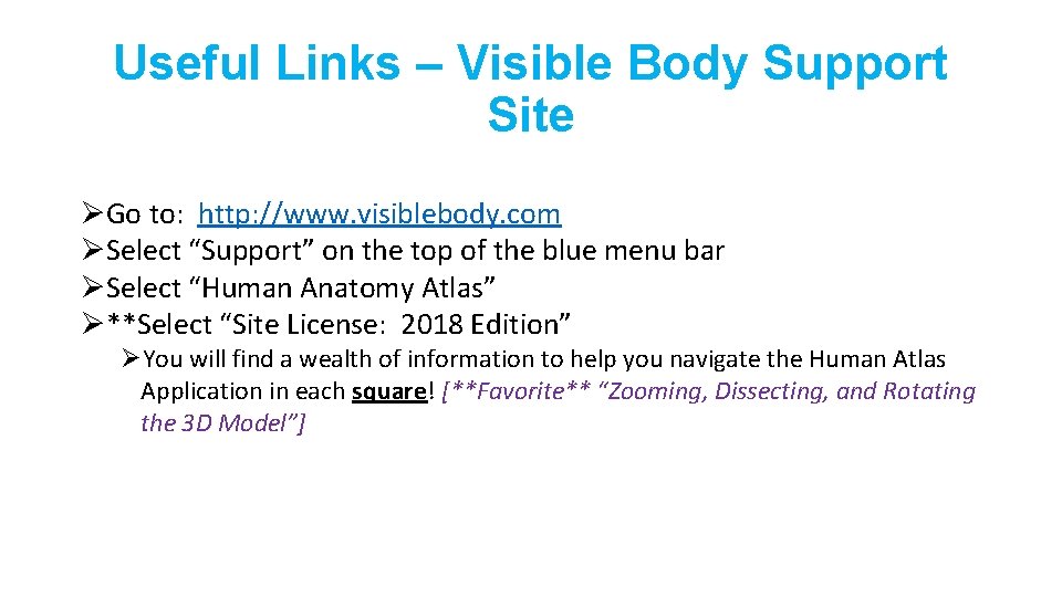 Useful Links – Visible Body Support Site ØGo to: http: //www. visiblebody. com ØSelect