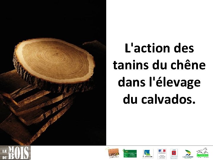 L'action des tanins du chêne dans l'élevage du calvados. 