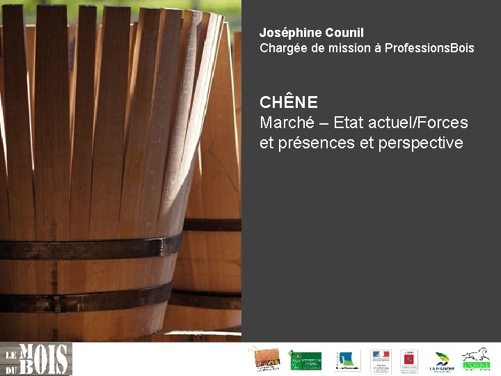 Joséphine Counil Chargée de mission à Professions. Bois CHÊNE Marché – Etat actuel/Forces et