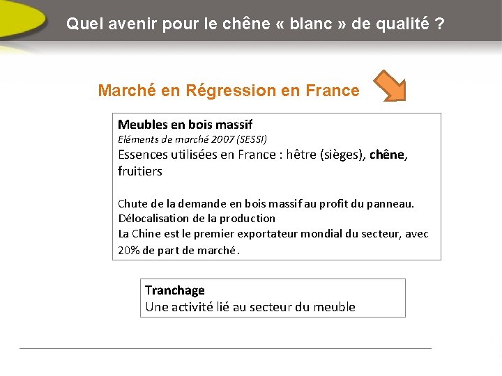 Quel avenir pour le chêne « blanc » de qualité ? Marché en Régression