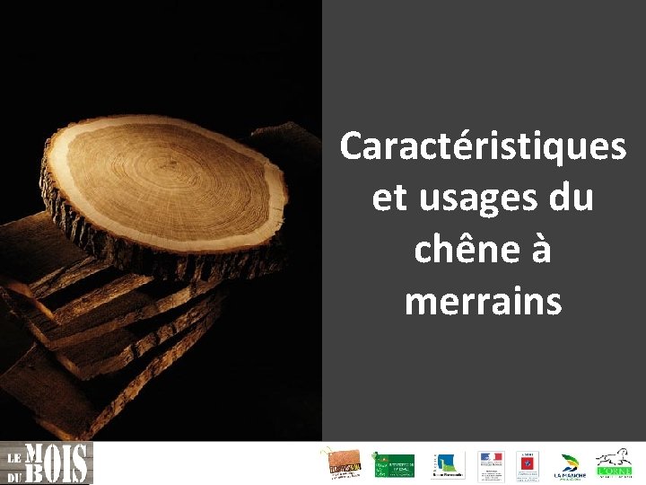 Caractéristiques et usages du chêne à merrains 