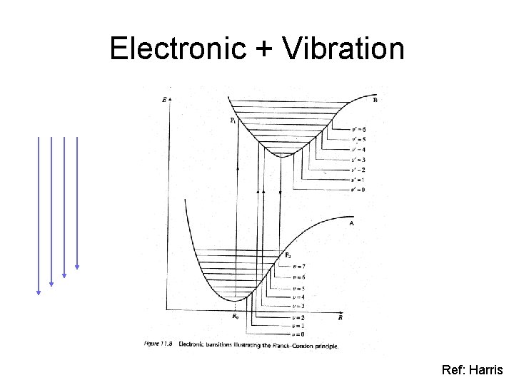 Electronic + Vibration Ref: Harris 
