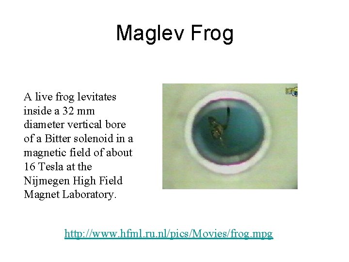 Maglev Frog A live frog levitates inside a 32 mm diameter vertical bore of