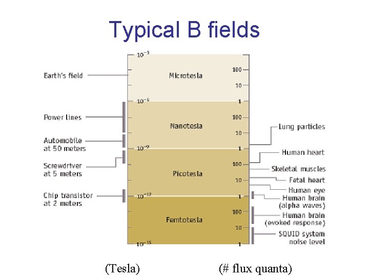 Typical B fields (Tesla) (# flux quanta) 