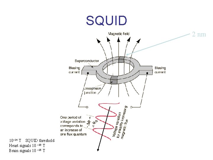 SQUID 2 nm 10 -14 T SQUID threshold Heart signals 10 -10 T Brain