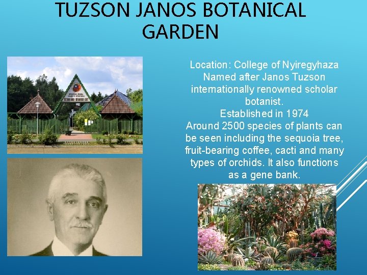 TUZSON JANOS BOTANICAL GARDEN Location: College of Nyiregyhaza Named after Janos Tuzson internationally renowned