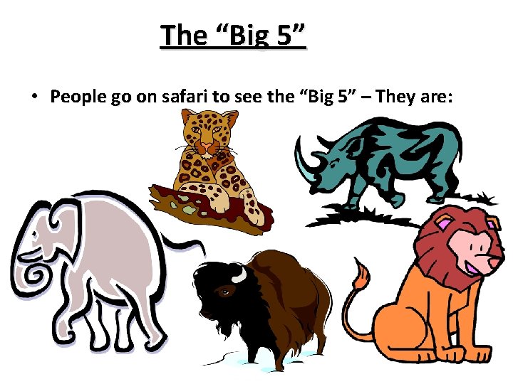 The “Big 5” • People go on safari to see the “Big 5” –