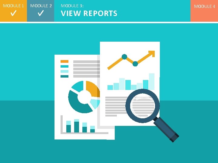 MODULE 1 MODULE 2 MODULE 3: VIEW REPORTS MODULE 4 