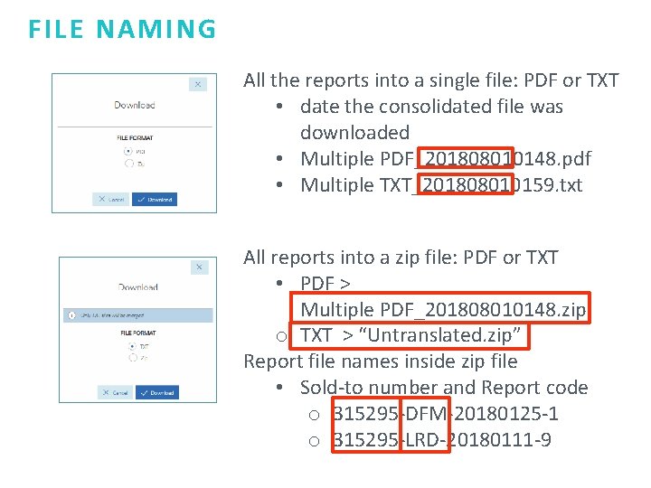 FILE NAMING All the reports into a single file: PDF or TXT • date