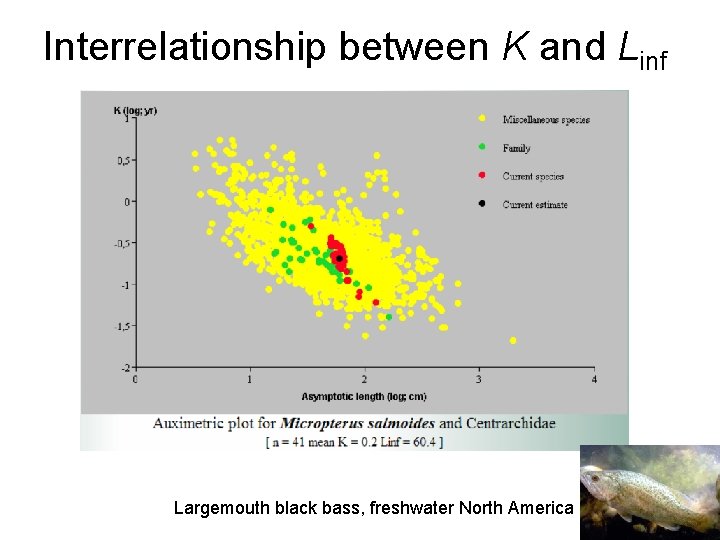 Interrelationship between K and Linf Largemouth black bass, freshwater North America 