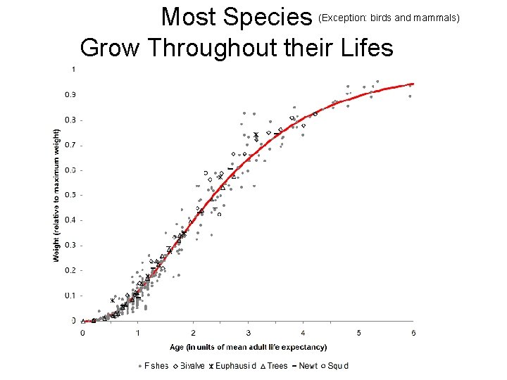 Most Species Grow Throughout their Lifes (Exception: birds and mammals) 