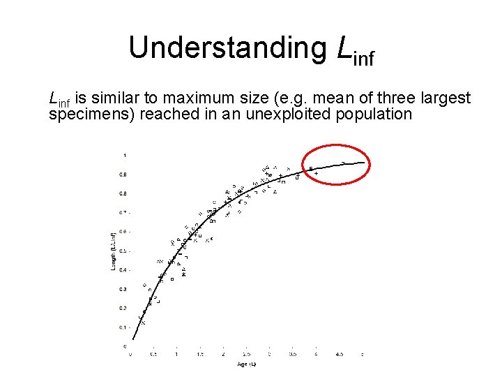 Understanding Linf is similar to maximum size (e. g. mean of three largest specimens)