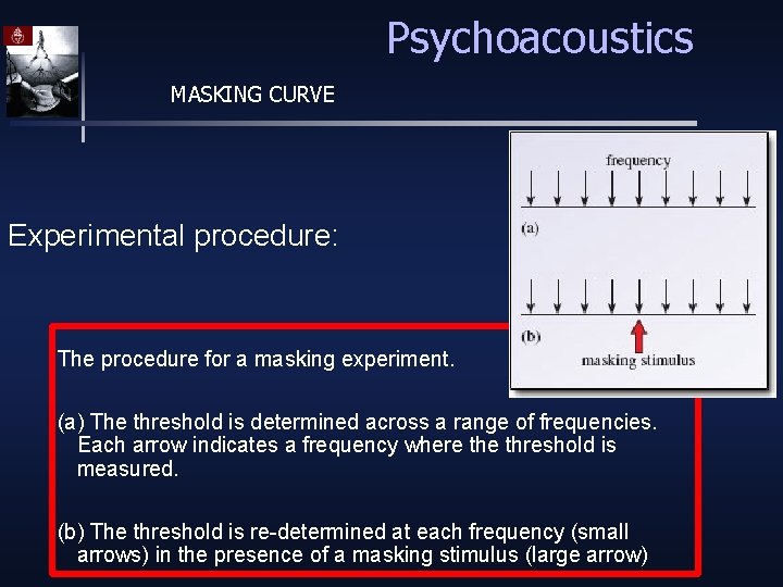 Psychoacoustics MASKING CURVE Experimental procedure: The procedure for a masking experiment. (a) The threshold