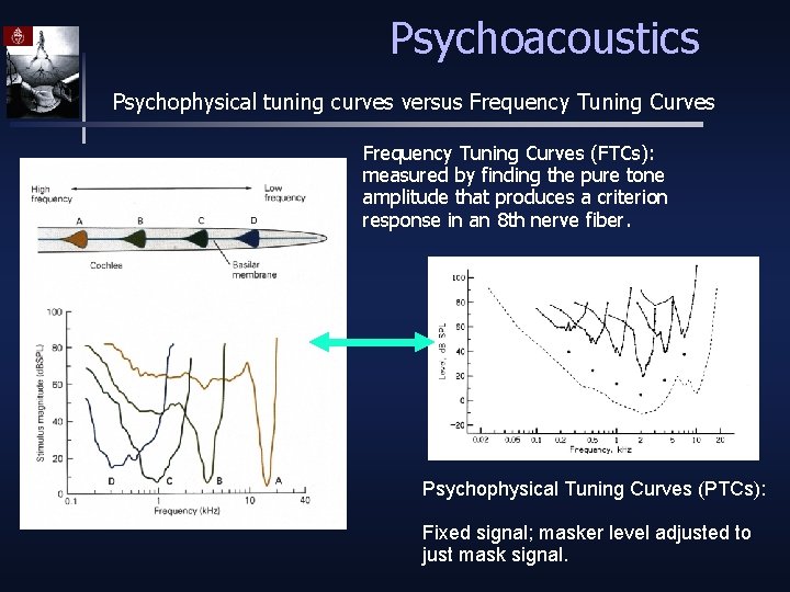 Psychoacoustics Psychophysical tuning curves versus Frequency Tuning Curves (FTCs): measured by finding the pure