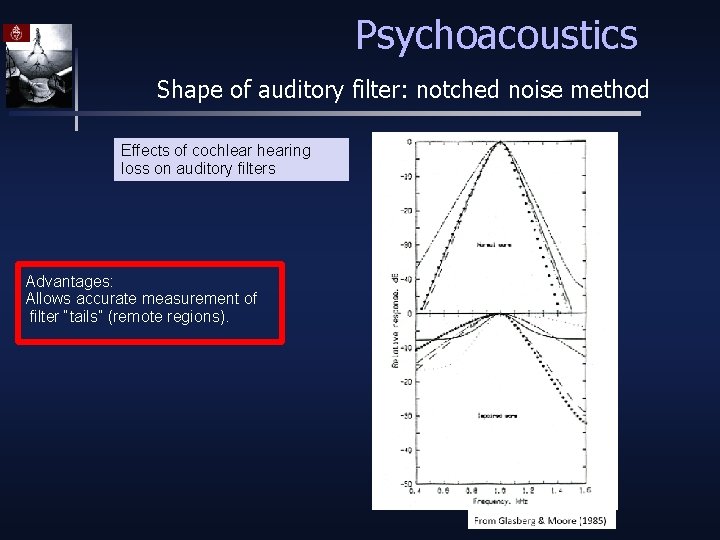 Psychoacoustics Shape of auditory filter: notched noise method Effects of cochlear hearing loss on