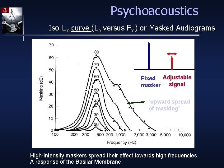 Psychoacoustics Iso-Lm curve (Lp versus Fm) or Masked Audiograms Fixed Adjustable masker signal ‘upward