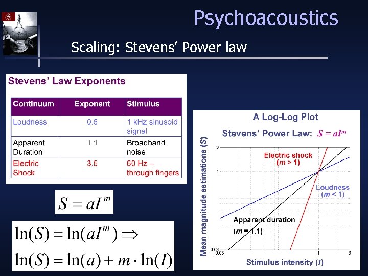 Psychoacoustics Scaling: Stevens’ Power law 