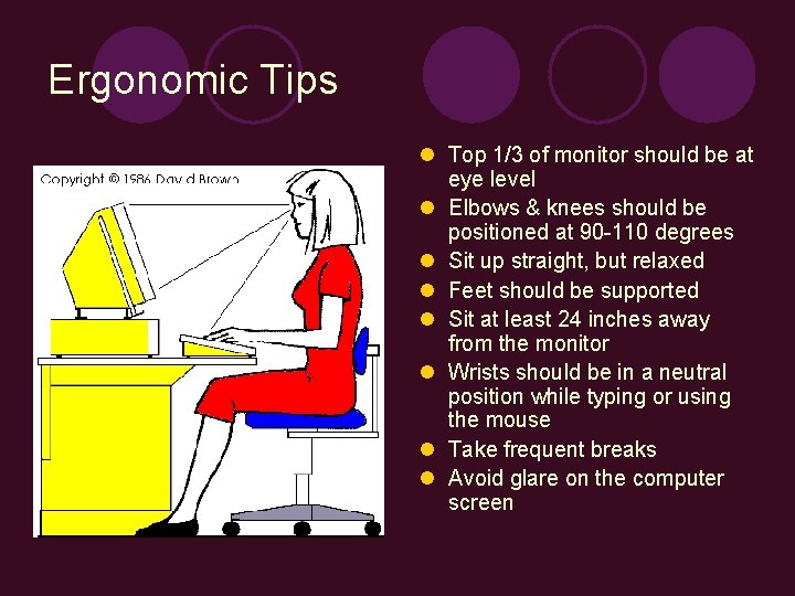 Ergonomic Tips l Top 1/3 of monitor should be at eye level l Elbows