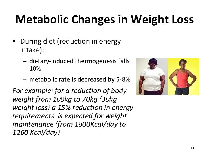 Metabolic Changes in Weight Loss • During diet (reduction in energy intake): – dietary-induced