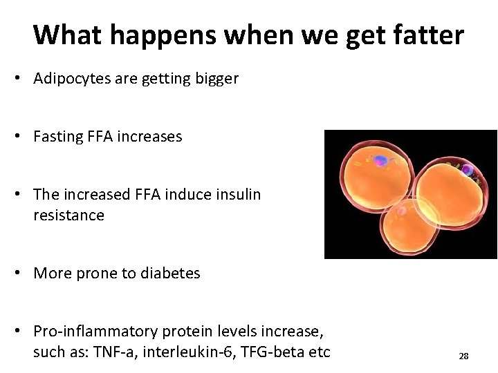 What happens when we get fatter • Adipocytes are getting bigger • Fasting FFA