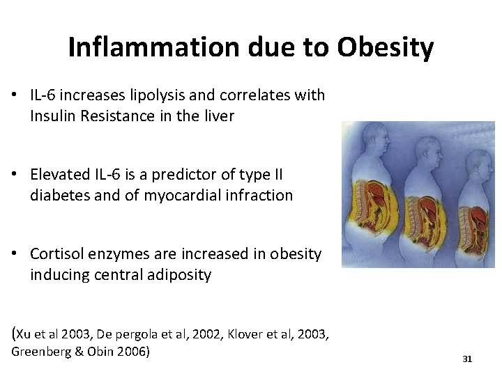 Inflammation due to Obesity • IL-6 increases lipolysis and correlates with Insulin Resistance in