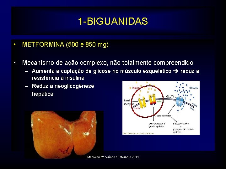 1 -BIGUANIDAS • METFORMINA (500 e 850 mg) • Mecanismo de ação complexo, não