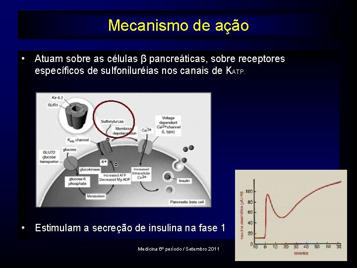 Mecanismo de ação • Atuam sobre as células β pancreáticas, sobre receptores específicos de