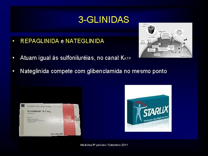 3 -GLINIDAS • REPAGLINIDA e NATEGLINIDA • Atuam igual às sulfoniluréias, no canal KATP