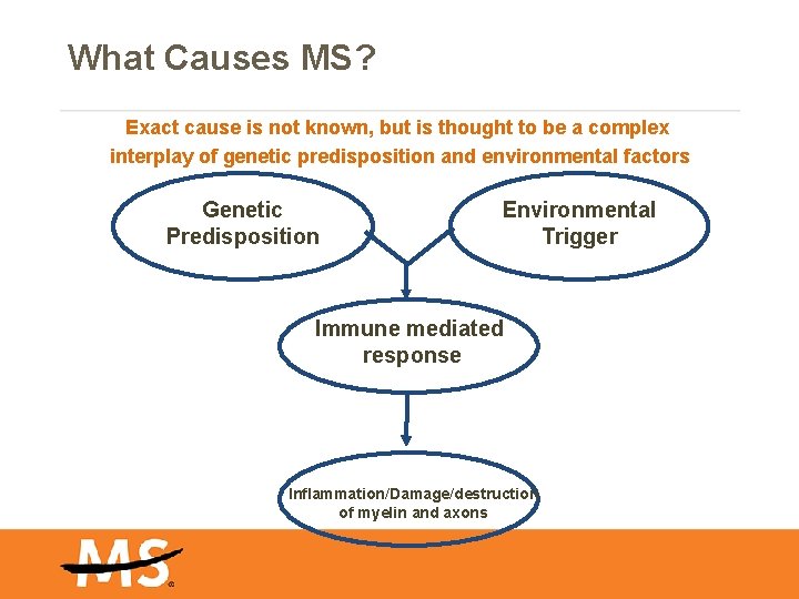 What Causes MS? Exact cause is not known, but is thought to be a