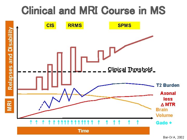 Relapses and Disability Clinical and MRI Course in MS Clinical Threshold T 2 Burden