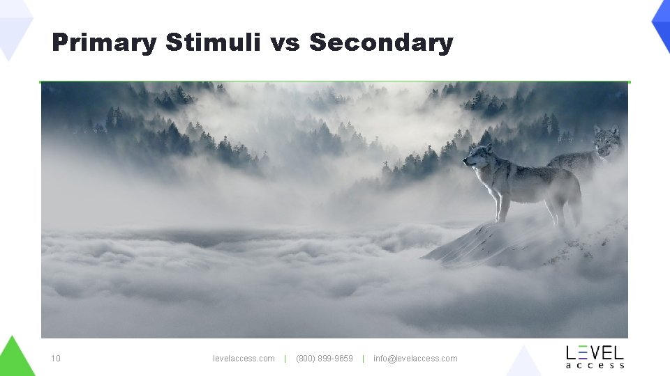 Primary Stimuli vs Secondary 10 levelaccess. com | (800) 899 -9659 | info@levelaccess. com