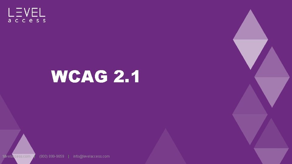 WCAG 2. 1 13 levelaccess. com | (800) 899 -9659 | info@levelaccess. com 