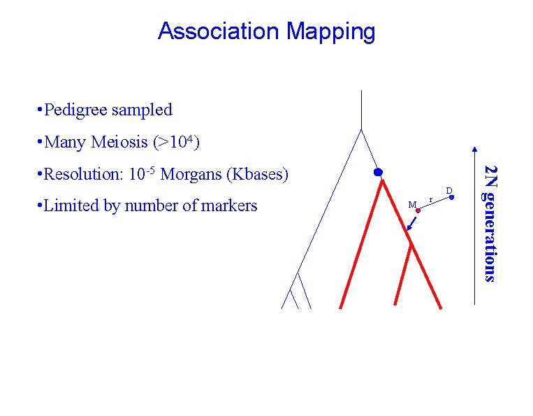 Association Mapping • Pedigree sampled • Many Meiosis (>104) • Limited by number of