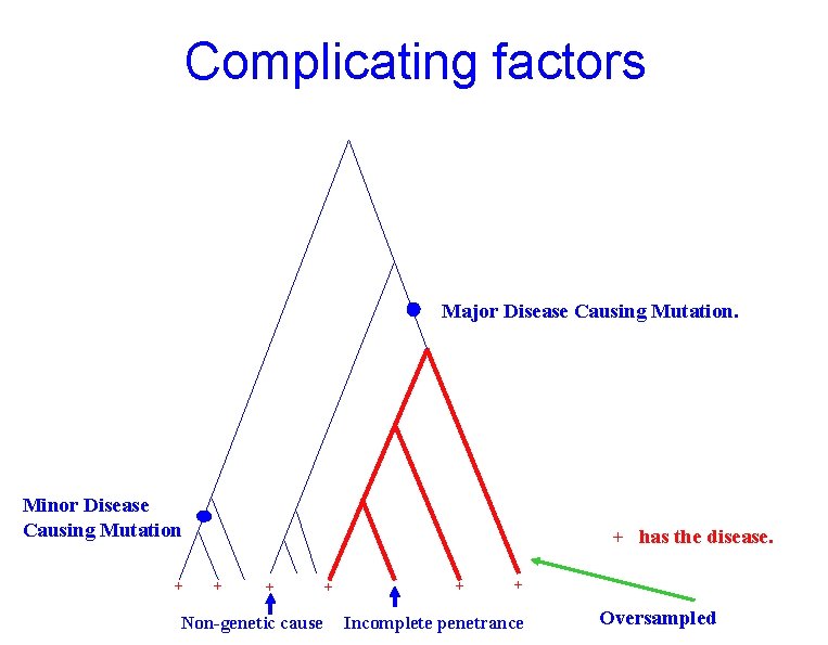 Complicating factors Major Disease Causing Mutation. Minor Disease Causing Mutation + + has the