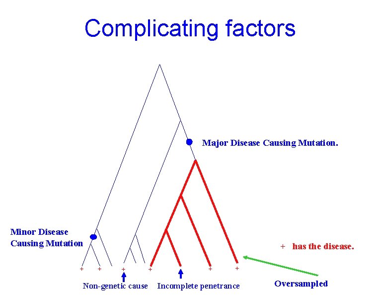 Complicating factors Major Disease Causing Mutation. Minor Disease Causing Mutation + + has the Complicating factors Major Disease Causing Mutation. Minor Disease Causing Mutation + + has the