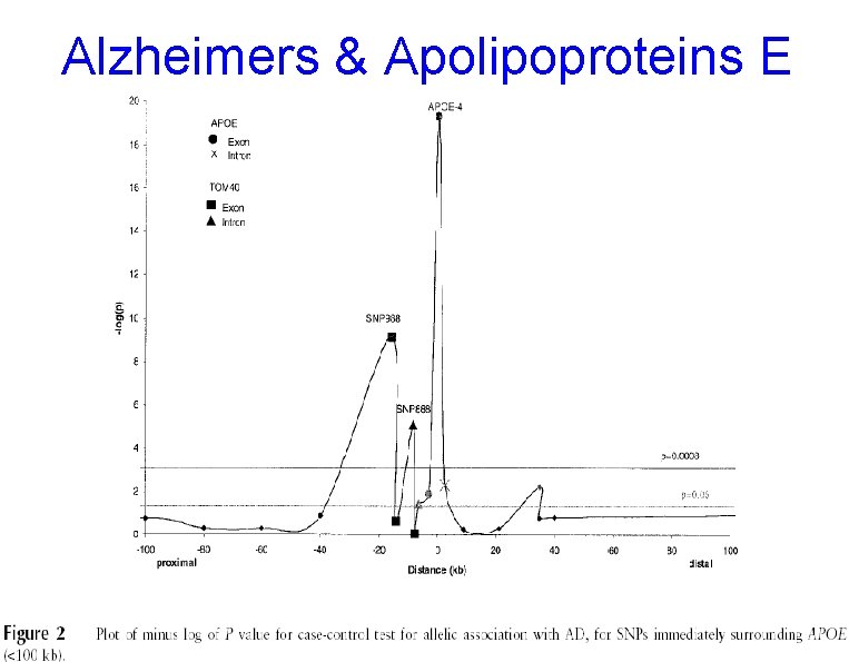 Alzheimers & Apolipoproteins E 