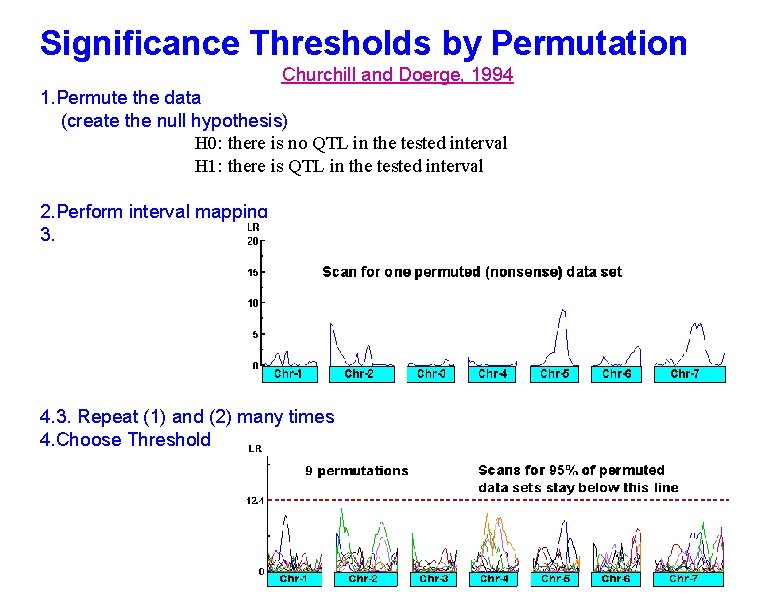 Significance Thresholds by Permutation Churchill and Doerge, 1994 1. Permute the data (create the Significance Thresholds by Permutation Churchill and Doerge, 1994 1. Permute the data (create the
