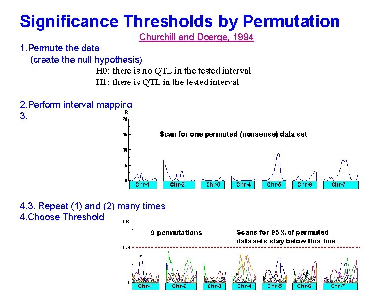 Significance Thresholds by Permutation Churchill and Doerge, 1994 1. Permute the data (create the