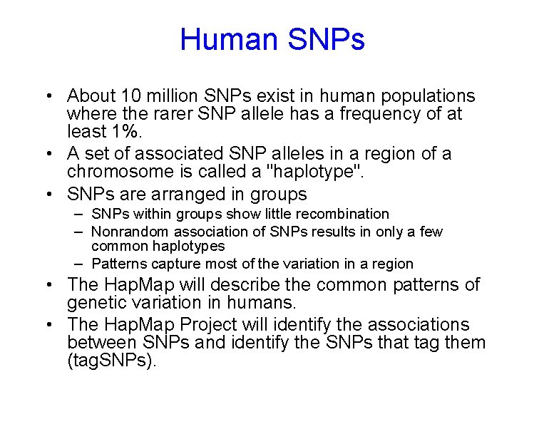 Human SNPs • About 10 million SNPs exist in human populations where the rarer