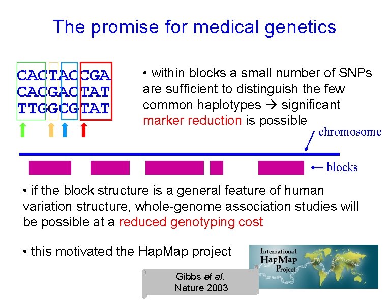 The promise for medical genetics CACTACCGA CACGACTAT TTGGCGTAT • within blocks a small number