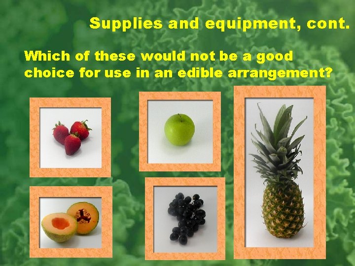 Supplies and equipment, cont. Which of these would not be a good choice for