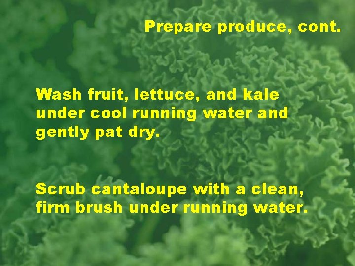 Prepare produce, cont. Wash fruit, lettuce, and kale under cool running water and gently