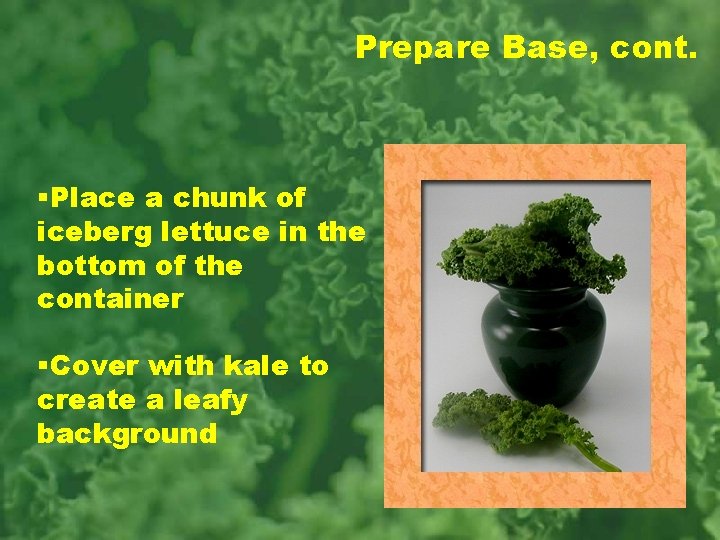 Prepare Base, cont. §Place a chunk of iceberg lettuce in the bottom of the