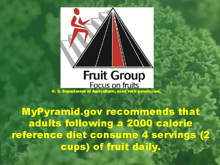 U. S. Department of Agriculture, used with permission. My. Pyramid. gov recommends that adults
